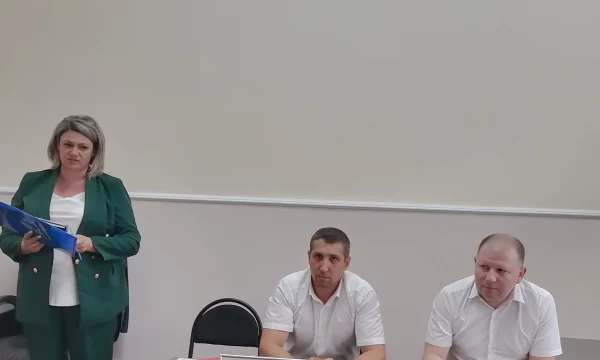 Отчёты и выборы
