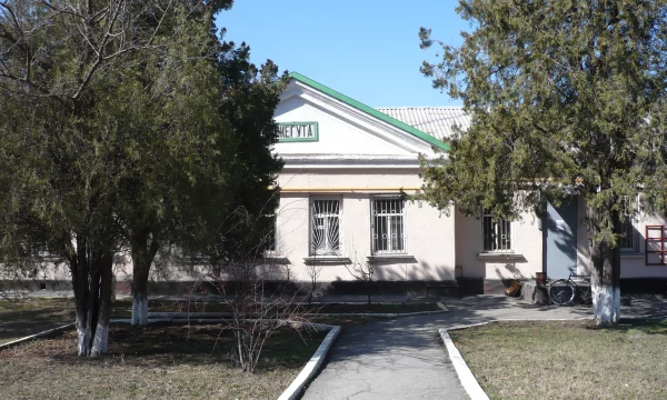 Весенний осмотр