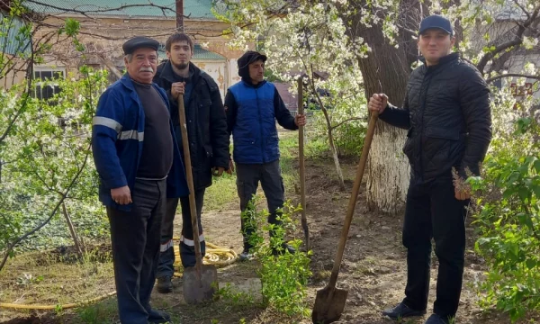 Проведение трудового субботника.