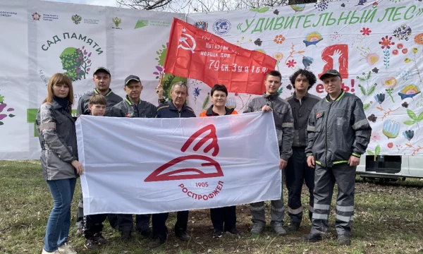 Проведение акции "Удивительный лес"