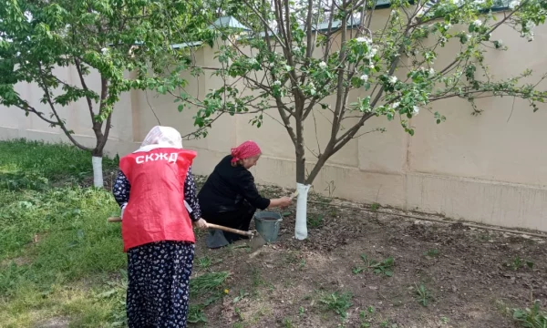 20.04.2024г.  Субботник
